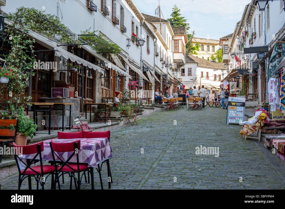 How Old Is Mikasa Ackerman in Spy x Family Fact Check